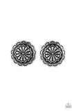 Durango Desert - Silver - Paparazzi Accessories